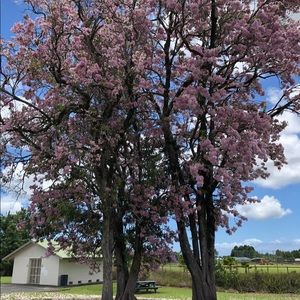 Meet your Posher, Starr’s boutique